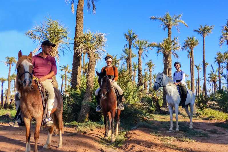 1h de balade à cheval dans le désert de la Palmeraie